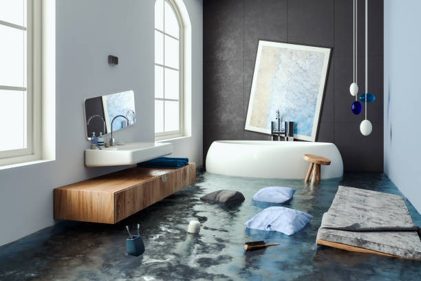 Water damage restoration mold remediation in CO