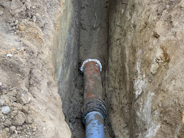 Best Sewage cleanup and water damage restoration  in Lumbine, CO