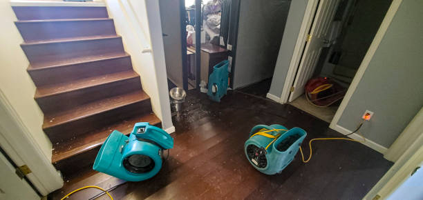 Carpet water damage restoration in CO