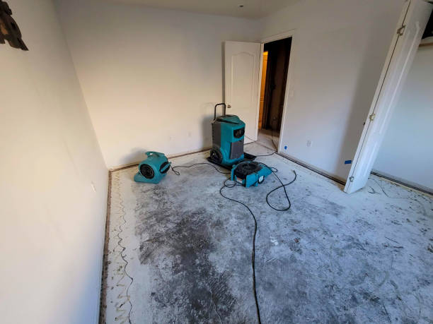 Lumbine, CO Water damage restoration Pros