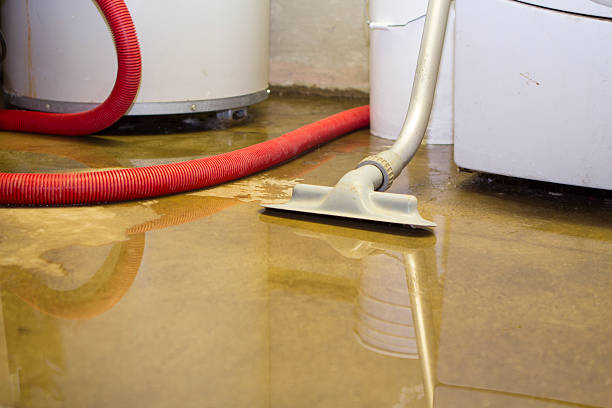 Best 24-hour water damage restoration  in Lumbine, CO