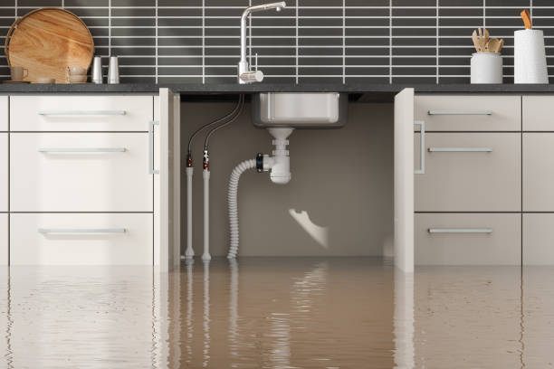 Best Ceiling water damage repair  in Lumbine, CO