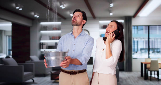 Best Commercial water damage restoration  in Lumbine, CO