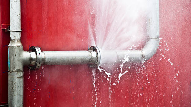 Best Fire Damage Restoration  in Lumbine, CO